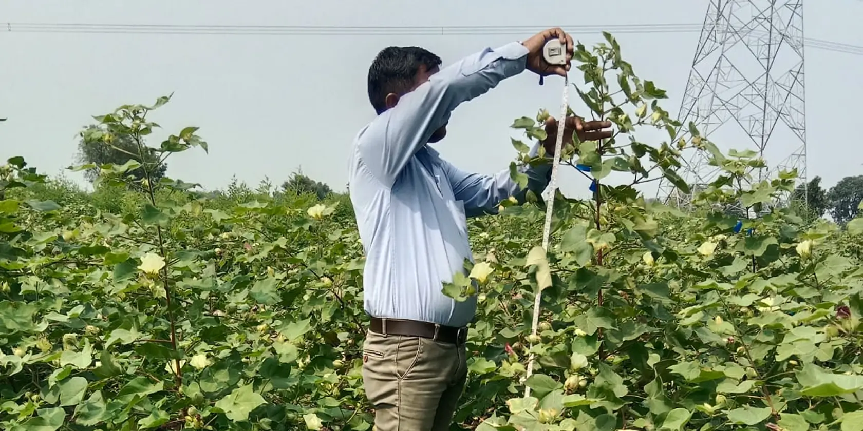 Artisanal Biochar in India
