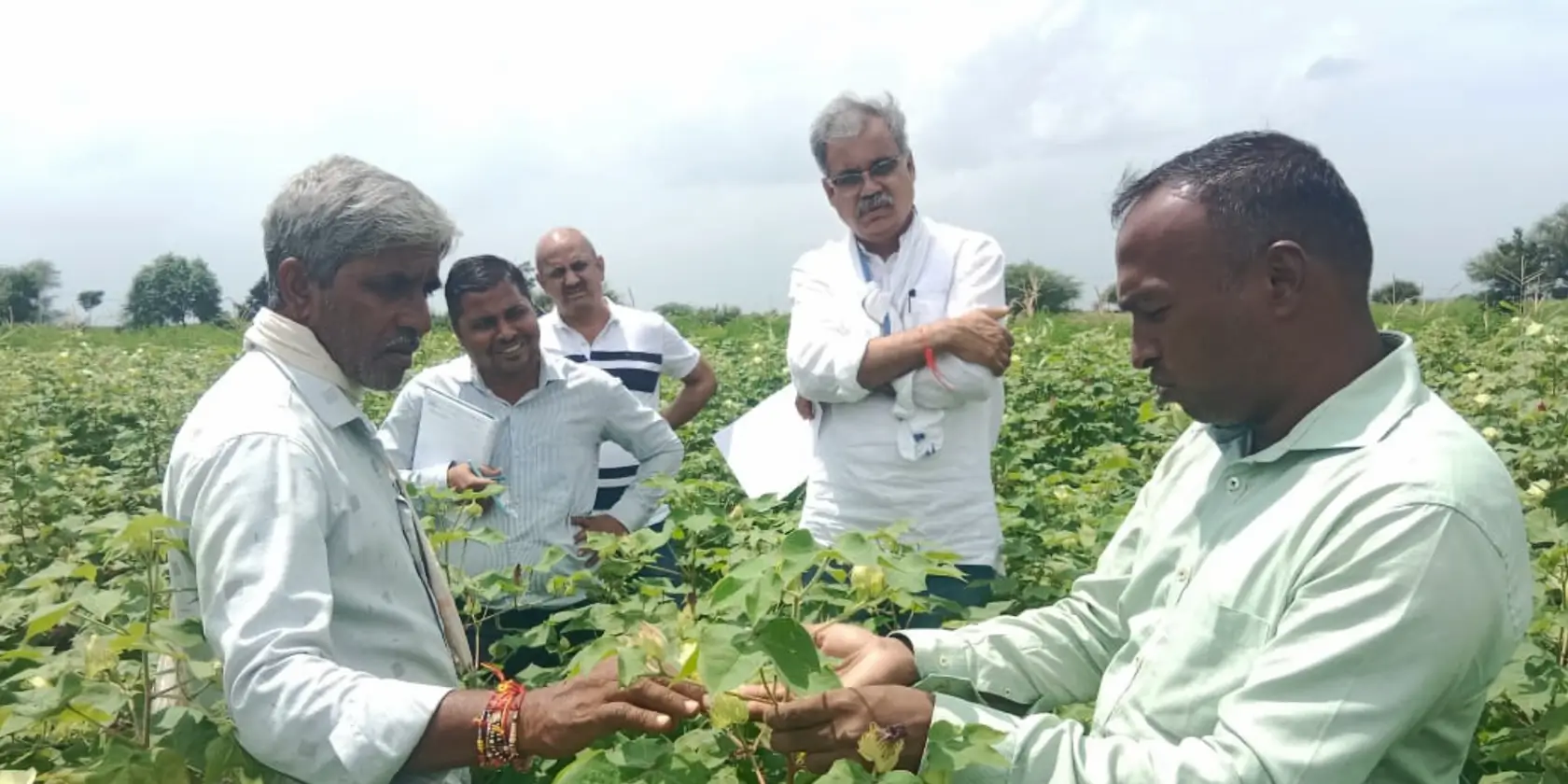 Artisanal Biochar in India